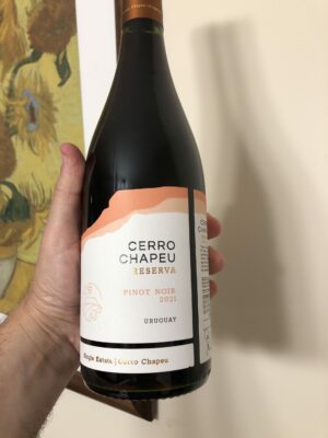 Pinot Noir Reserva 2021 Bodega Cerro Chapeu